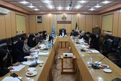        برگزاری نشست کمیته نقل و انتقالات کارکنان دانشگاه علوم پزشکی گیلان